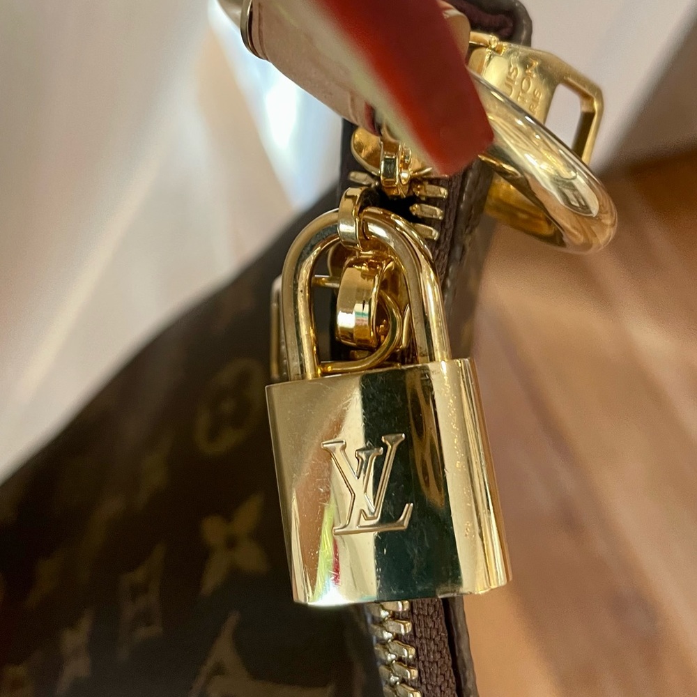 Louis Vuitton bag. Comes with dust bag, box and LV bag.
